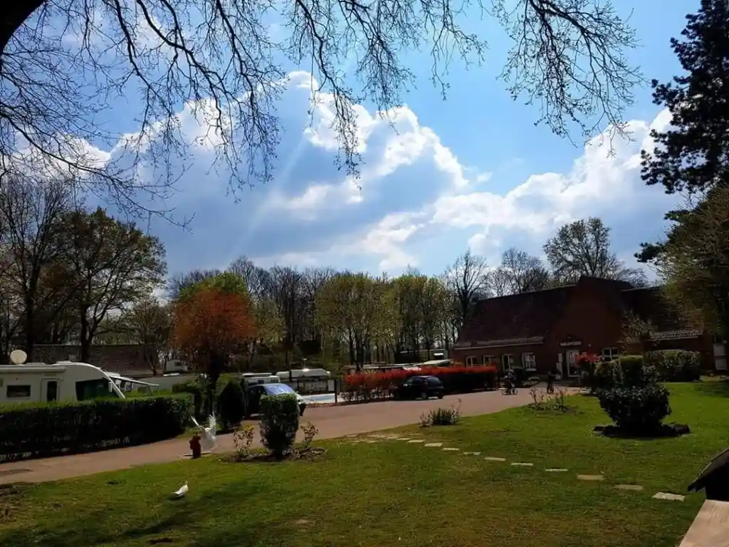 Panoramic view of Camping Le Mont des Bruyères in the forest