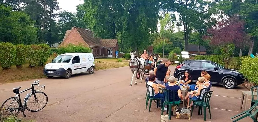 Vista panorámica parcelas camping 4 estrellas en el bosque