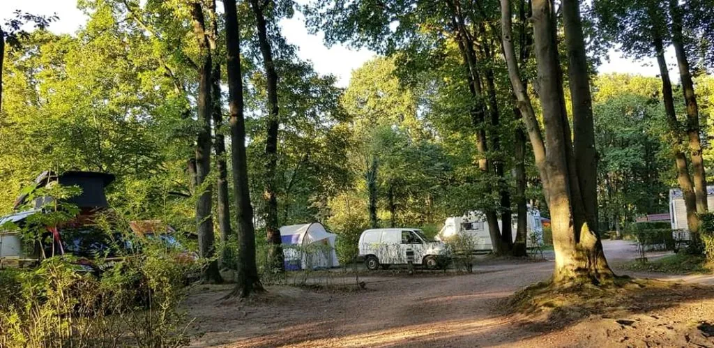 Espacio verde camping Mont des Bruyères