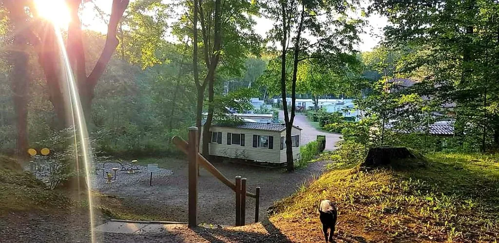 Camping 4 estrellas en pleno bosque – alojamiento familias y pacientes