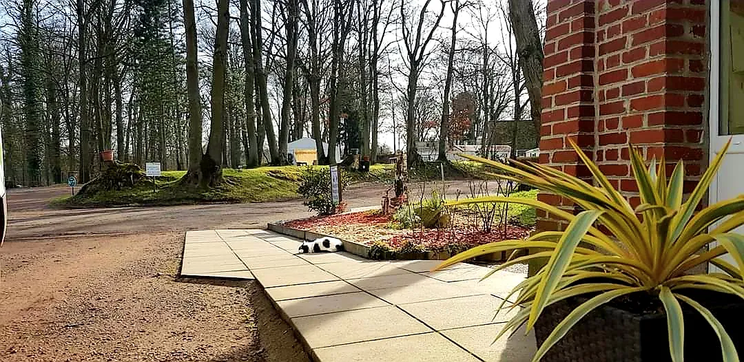 Espace informatif de la réception